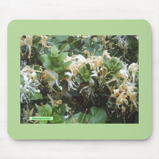 Tapis De Souris Blooms de Honeysuckle (Devant)