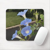 Tapis De Souris Blue Cascade Morning Glory Close-up (Avec souris)