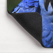 Tapis De Souris Blue Hyacinth Macaw (Coin)
