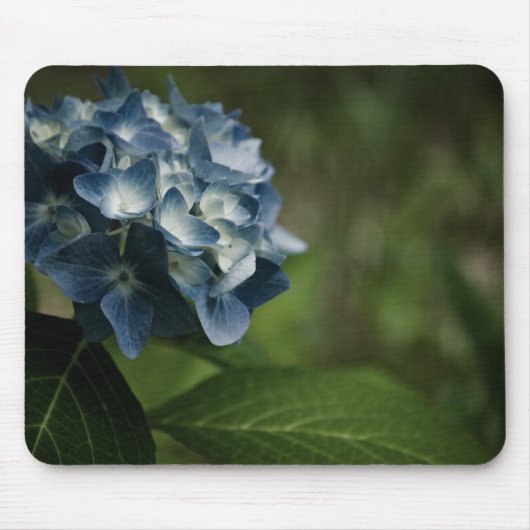 Tapis De Souris Blue Hydrangea 8519 Mousepad (Devant)