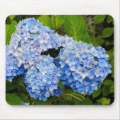 Tapis De Souris Blue Hydrangeas (Devant)