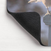 Tapis De Souris Blue Jay (Coin)