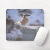 Tapis De Souris Blue Jay (Avec souris)