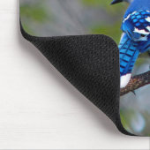 Tapis De Souris Blue Jay (Coin)