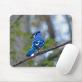 Tapis De Souris Blue Jay (Avec souris)