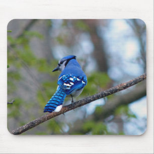 Tapis De Souris Blue Jay