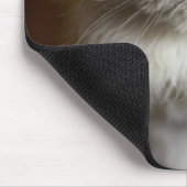 Tapis De Souris Blue Point Himalayan Chat à l'air irrité (Coin)