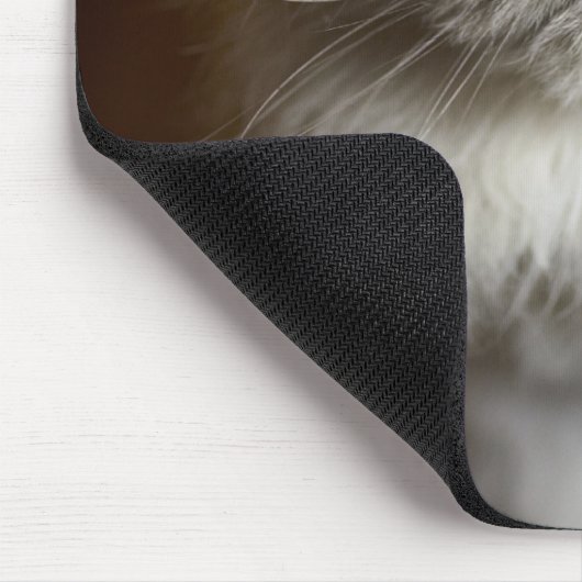 Tapis De Souris Blue Point Himalayan Chat à l'air irrité (Coin)