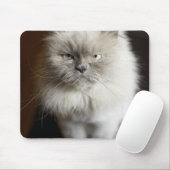 Tapis De Souris Blue Point Himalayan Chat à l'air irrité (Avec souris)