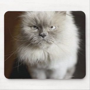 Tapis De Souris Blue Point Himalayan Chat à l'air irrité