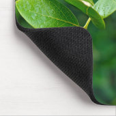 Tapis De Souris Blueberries Sur Bush (Coin)