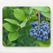 Tapis De Souris Blueberries Sur Bush (Devant)