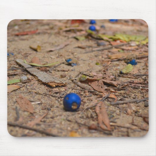 Tapis De Souris Blueberries tombées (Devant)