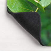 Tapis De Souris Blueberry Bush (Coin)