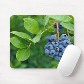 Tapis De Souris Blueberry Bush (Avec souris)