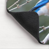 Tapis De Souris Bluebird (Coin)