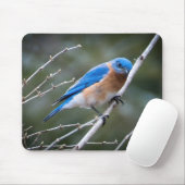 Tapis De Souris Bluebird (Avec souris)