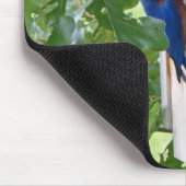 Tapis De Souris Bluebird à la maison (Coin)
