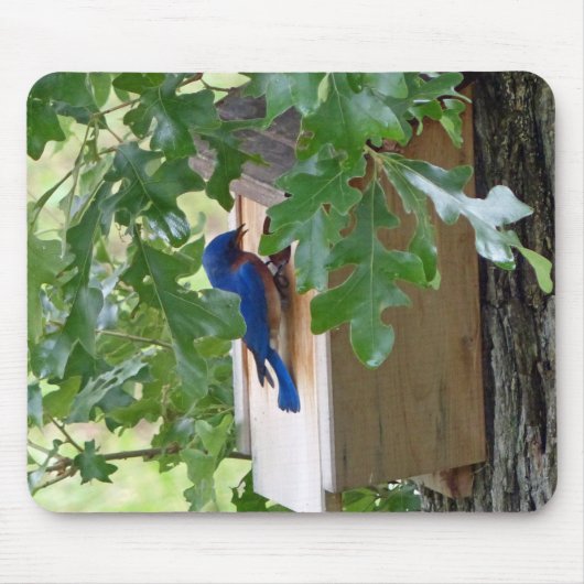 Tapis De Souris Bluebird à la maison (Devant)