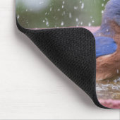 Tapis De Souris Bluebird at Birdbath (Coin)