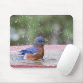 Tapis De Souris Bluebird at Birdbath (Avec souris)