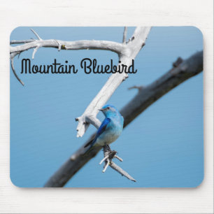 Tapis De Souris Bluebird de montagne