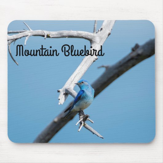 Tapis De Souris Bluebird de montagne (Devant)