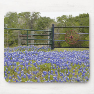 Tapis De Souris Bluebonnets de Texas