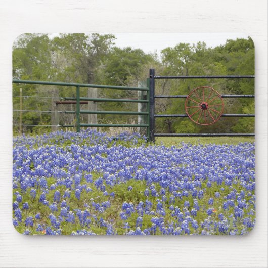 Tapis De Souris Bluebonnets de Texas (Devant)