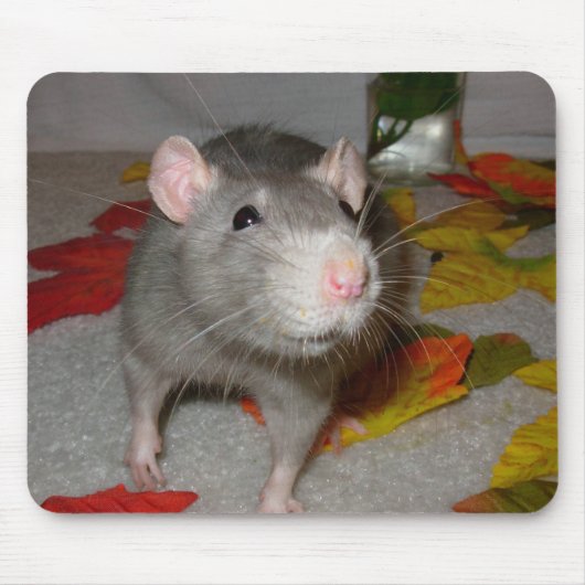 Tapis De Souris blueboo3 (Devant)