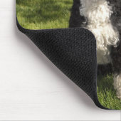 Tapis De Souris Bo Obama (Coin)