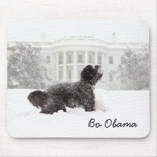 Tapis De Souris Bo Obama