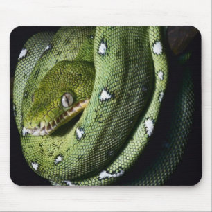 Tapis De Souris Boa vert de serpent vert d'arbre en Bolivie