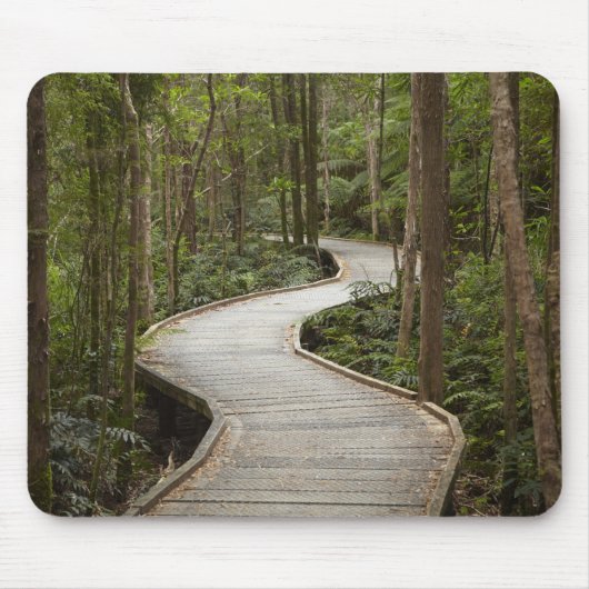 Tapis De Souris Boardwalk to Nelson Falls, Franklin - Gordon (Devant)