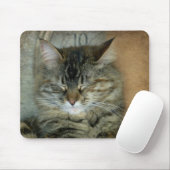 Tapis De Souris Bob le chat (Avec souris)