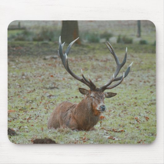 Tapis De Souris Boeuf de cerf Mousepad (Devant)