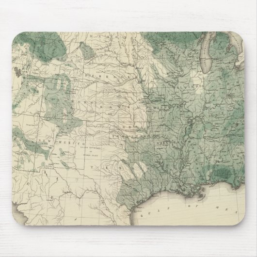 Tapis De Souris Bois des États-Unis (Devant)