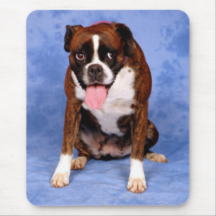 Tapis De Souris Boîte à amour pour chiot Boxer sur décoration cani