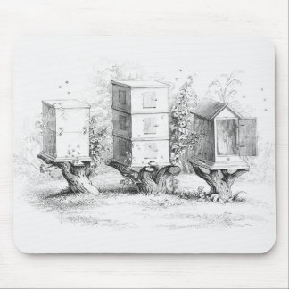 Tapis De Souris Boîtes d'abeilles vintages Miel