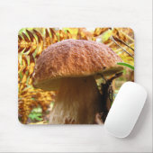 TAPIS DE SOURIS BOLETUS EDULIS (Avec souris)