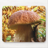 TAPIS DE SOURIS BOLETUS EDULIS (Devant)