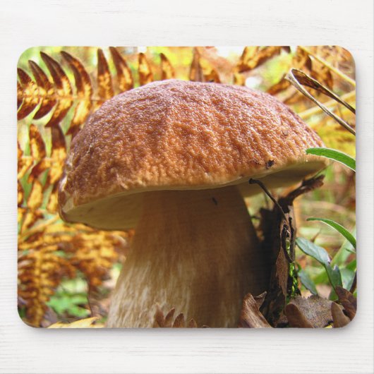 TAPIS DE SOURIS BOLETUS EDULIS (Devant)
