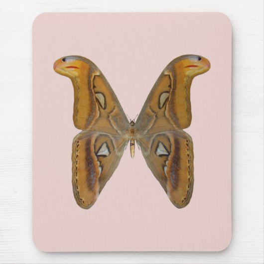 Tapis De Souris Bombyx atlas (Devant)
