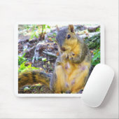 Tapis De Souris Bonjour_ (Avec souris)