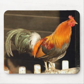 Tapis De Souris Bonjour