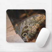 Tapis De Souris Bonjour ! (Avec souris)