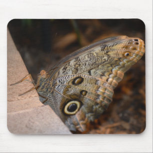 Tapis De Souris Bonjour !