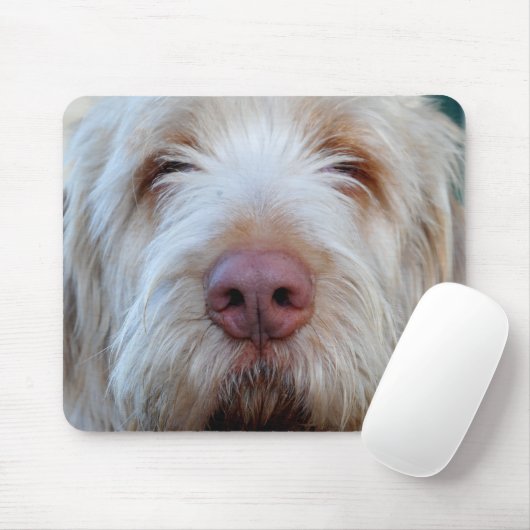 Tapis De Souris Booper Mousepad de Luigi (Avec souris)