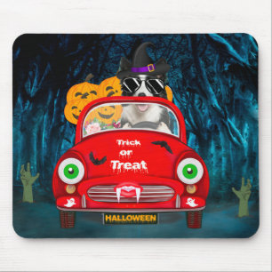 Tapis De Souris Border Collie Chien Conduisant une Voiture Effraya