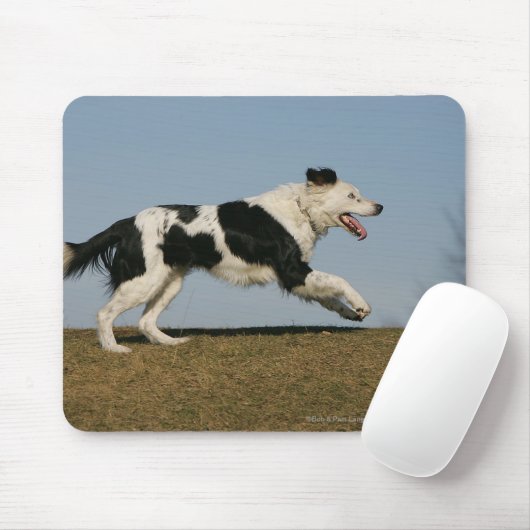 Tapis De Souris Border collie courant 2 (Avec souris)